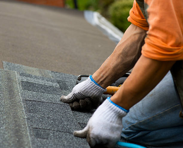Best Storm Damage Roof Repair  in Chadwicks, NY